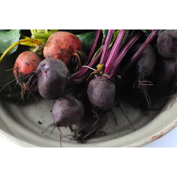 Organic Beetroot